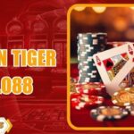 Dragon Tiger Hello88 đang trở thành lựa chọn hàng đầu của cộng đồng người chơi yêu thích casino live nhờ lối chơi nhanh gọn, luật đơn giản. Không cần ghi nhớ quá nhiều quy tắc hay chiến thuật phức tạp, hội viên chỉ cần đưa ra quyết định trong vài giây, chờ đợi kết quả ngay lập tức. Chính sự rõ ràng và tốc độ này đã giúp tựa game tại Hello88 thu hút đông đảo hội viên ở mọi cấp độ. Vì sao Dragon Tiger Hello88 được người chơi ưa chuộng? Dragon Tiger Hello88 không chỉ là trò về đối kháng đơn thuần mà còn là sản phẩm được chuyên trang đầu tư kỹ lưỡng về chất lượng vận hành. Dưới đây là những lý do khiến tựa game luôn nằm trong top game được yêu thích. Chỉ có hai cửa cược chính là Rồng, Hổ, ngoài ra có thêm cửa Hòa với tỷ lệ thưởng riêng. Mỗi cửa nhận một lá bài riêng, kết quả thắng thua được xác định dựa trên giá trị lá bài cao hơn. Tất cả ván đều được phát trực tiếp, kết quả hiển thị công khai, rõ ràng, đảm bảo tính minh bạch tuyệt đối trong từng lượt cược. Hệ thống được tối ưu để vận hành mượt mà trên cả máy tính lẫn thiết bị di động. Thời gian mỗi ván chỉ kéo dài vài giây, thao tác đặt cược nhanh chóng, phản hồi gần như tức thì. Dù chơi liên tục trong thời gian dài, người dùng vẫn không gặp tình trạng giật lag hay gián đoạn, giúp mạch game luôn liền mạch, thoải mái. Một điểm cộng lớn là tỷ lệ trả thưởng được công bố rõ ràng, duy trì ổn định, dễ dàng theo dõi, so sánh và xây dựng chiến lược cược phù hợp. Lý do Dragon Tiger Hello88 được người chơi yêu thích Hướng dẫn bắt đầu chơi Dragon Tiger Hello88 Chuyên trang xây dựng quy trình tham gia Dragon Tiger Hello88 đơn giản, thân thiện với cả người mới. Chỉ với vài bước cơ bản, hội viên đã có thể trải nghiệm trò chơi một cách trọn vẹn. Bước 1: Đăng ký tài khoản Người tham gia chỉ cần cung cấp một số thông tin cơ bản như tên đăng nhập, số điện thoại hoặc email để tạo tài khoản tại website. Quá trình đăng ký diễn ra nhanh chóng, không yêu cầu xác minh rườm rà, giúp bạn có thể bắt đầu chơi ngay sau khi hoàn tất. Tất cả thao tác đều thực hiện trực tuyến, phù hợp cho cả máy tính lẫn điện thoại. Bước 2: Làm quen giao diện Dragon Tiger Hello88 Khi truy cập Dragon Tiger Hello88, giao diện bàn game được thiết kế trực quan với các nút cược Rồng, Hổ và Hòa hiển thị rõ ràng. Bảng lịch sử kết quả giúp người tham gia theo dõi xu hướng, từ đó đưa ra quyết định cược hợp lý hơn. Việc thay đổi mức cược, chuyển bàn hay theo dõi thời gian đặt cược đều được thao tác dễ dàng chỉ với vài cú chạm. Làm quen giao diện và tính năng Dragon Tiger Bước 3: Chơi thử miễn phí Rồng Hổ sẽ hỗ trợ chế độ chơi thử, cho phép người dùng trải nghiệm mà không cần nạp tiền. Đây là cơ hội lý tưởng để người mới làm quen luật chơi, nhịp độ ván cược, cách quản lý vốn trước khi tham gia bằng tiền thật. Nhờ đó, bạn có thể tự tin hơn khi bước vào các ván cược chính thức. Ưu đãi, chính sách hỗ trợ khi tham gia Dragon Tiger Hello88 Bên cạnh việc đầu tư vào trải nghiệm chơi mượt mà và minh bạch, chuyên trang còn đặc biệt quan tâm đến quyền lợi hội viên thông qua hệ thống ưu đãi đa dạng. Đi cùng dịch vụ hỗ trợ chuyên nghiệp, giúp khách hàng yên tâm tham gia và gắn bó lâu dài. Chính sách ưu đãi và hỗ trợ cho người chơi Rồng Hổ Hội viên tham gia Dragon Tiger Hello88 có cơ hội nhận thưởng nạp đầu giá trị cao cùng chính sách hoàn trả dựa trên khối lượng cược. Ưu đãi được áp dụng tự động, không cần thao tác thủ công, giúp tiết kiệm thời gian. Đội ngũ chăm sóc khách hàng luôn sẵn sàng hỗ trợ 24/7 qua nhiều kênh như live chat, Telegram hoặc email. Mỗi lượt cược đều được tích điểm để nâng cấp cấp độ thành viên. Hệ thống VIP đa dạng với nhiều quyền lợi riêng như ưu đãi độc quyền, hỗ trợ ưu tiên và quà tặng định kỳ, mang lại giá trị lâu dài cho hội viên gắn bó. Kết luận Dragon Tiger Hello88 là lựa chọn lý tưởng dành cho những ai yêu thích casino live tốc độ cao với tỷ lệ trả thưởng minh bạch. Với giao diện thân thiện, trải nghiệm mượt mà cùng nhiều ưu đãi hấp dẫn, trò này phù hợp cho cả người mới lẫn hội viên giàu kinh nghiệm. Nếu bạn đang tìm kiếm một sân chơi đối kháng nhanh gọn, dễ tiếp cận và đầy kịch tính, Hello88 chắc chắn là cái tên không nên bỏ qua.